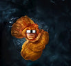 thumb1